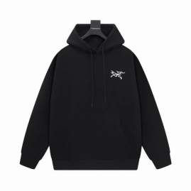 Picture of Arcteryx Hoodies _SKUArcteryxXS-Ltltx01641